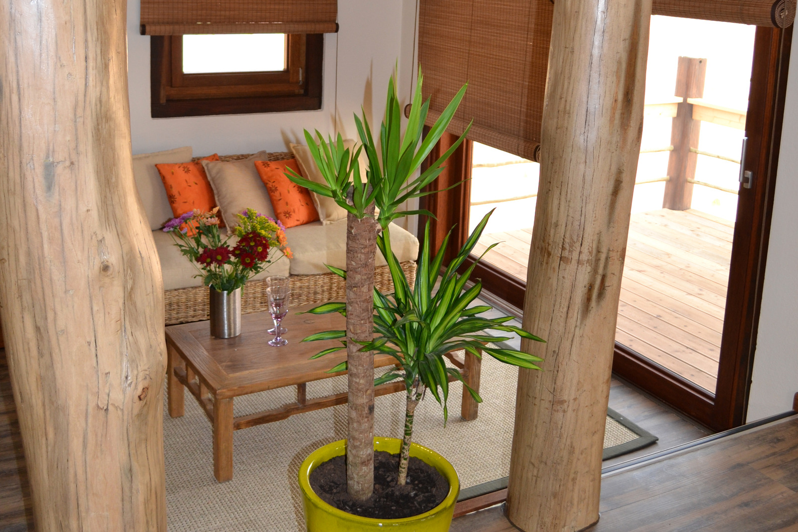 Desert Breeze lounge with timber pillars, comfortable seating and green plants