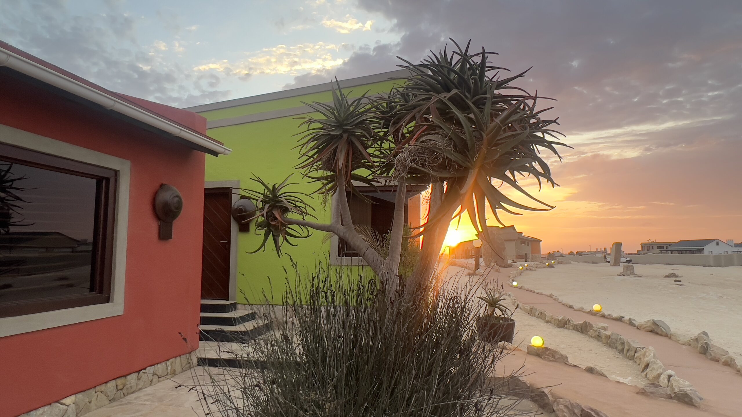 Colourful Desert Breeze lodge buildings and an aloe tree at sunset