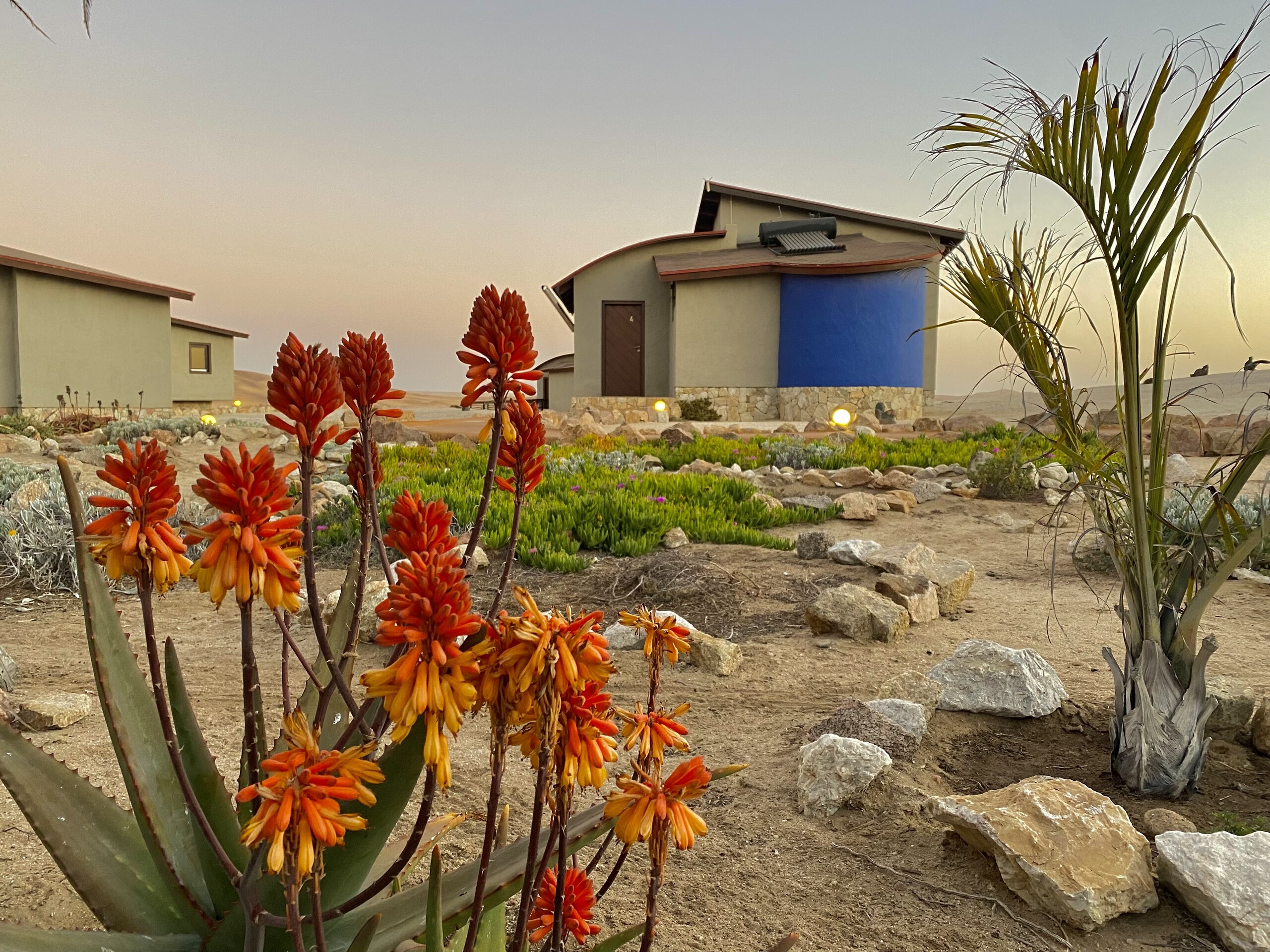 Dune Bungalows at Desert Breeze, image 3